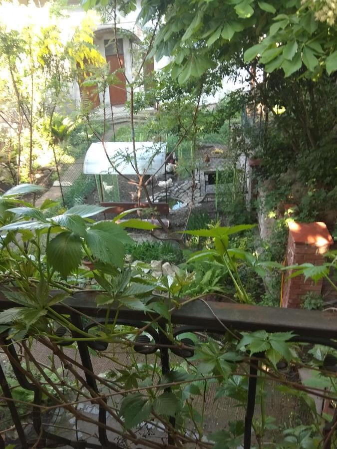 Mangal And Terrace In Center Apartment Лвив Екстериор снимка